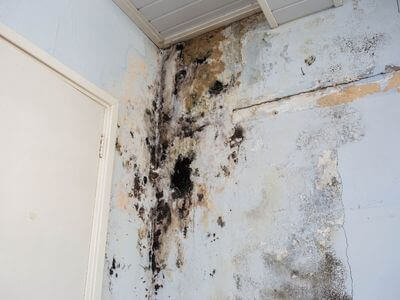 About AquaLeap Pros - water damage restoration experts in maywood